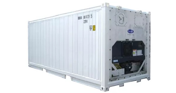 container kho lạnh 20 feet